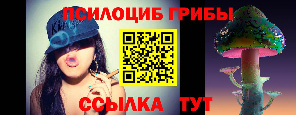 Галлюциногенные грибы GOLDEN TEACHER  Вход с VPN  Урус-Мартан 